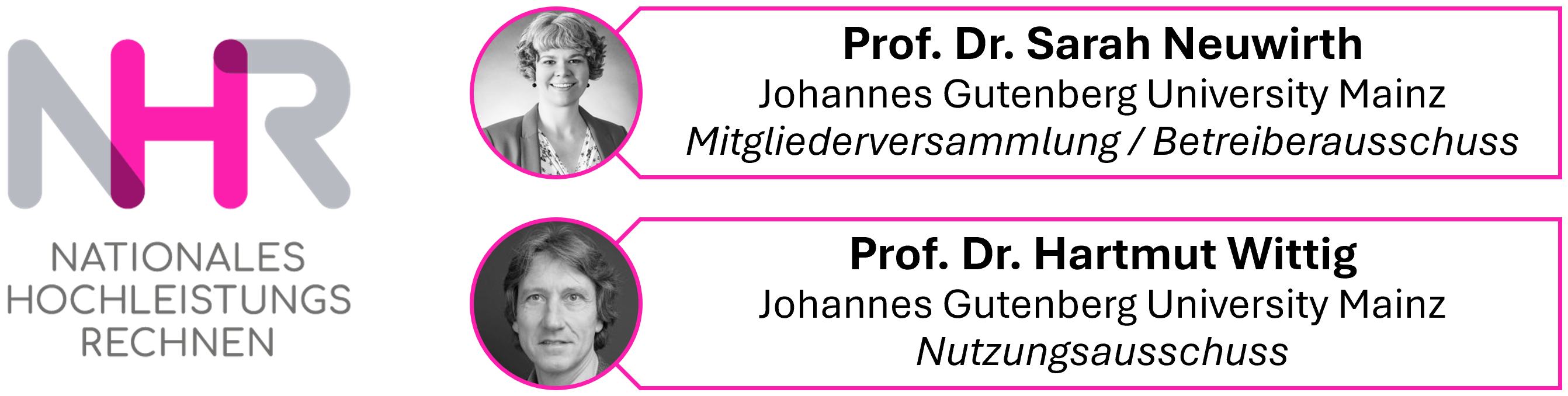 NHR@SW Representatives in the NHR main committees.